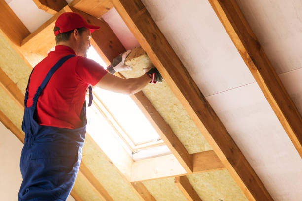 Types of Insulation We Offer in Thomaston, GA